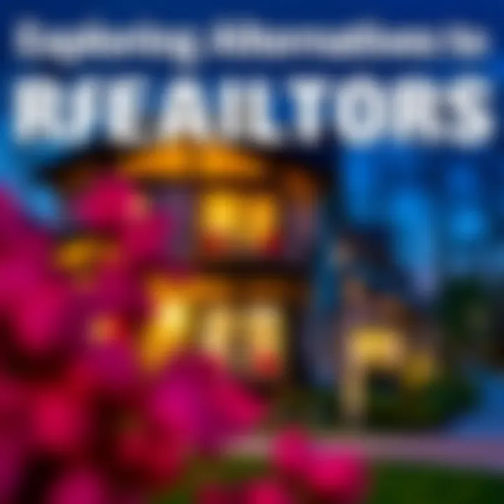 Exploring Alternatives to Realtors Alternatives to hiring a realtor for property transactions