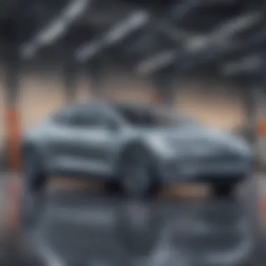 The Expansion of Electric Car Manufacturers A graphic showcasing the growth of electric car manufacturers