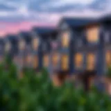 Modern Townhouse Community Overview Overview of a modern townhouse community