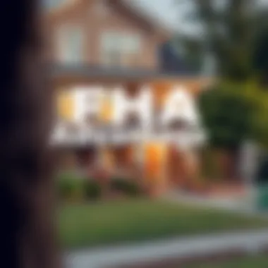 Illustration of FHA loan benefits