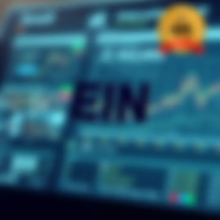 Visual representation of an EIN number search process