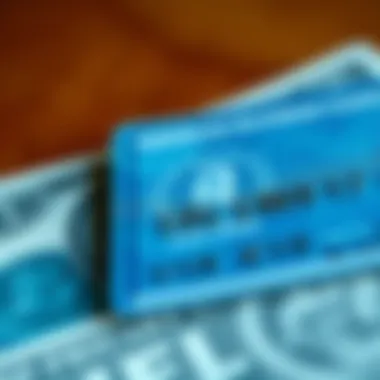 Infographic of payment history importance