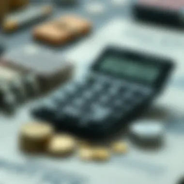 Components of an Amortization Calculator Infographic detailing components of an amortization calculator